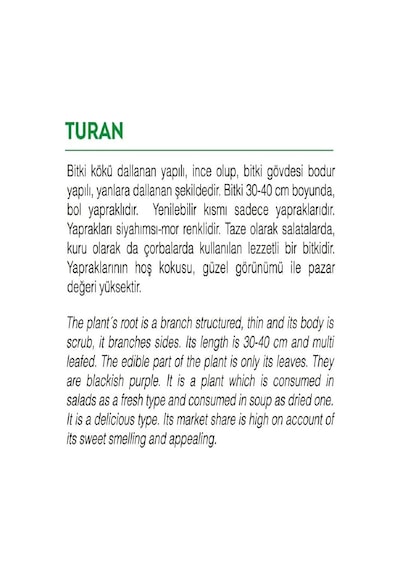 Agrodal Tarım Ata Tohumu Yerli Mor Reyhan Turan 1000 Adet Tohum