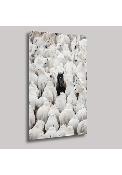 Siyah Asalet Cam Tablo Siyah Temalı Modern Duvar Dekoru 50x70 C