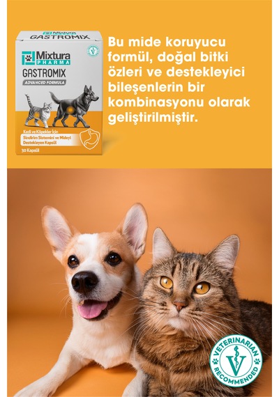 Mixtura Pharma Gastromix Mide Ve  Sistemini Kedi Ve Köpek Mide Koruyucu