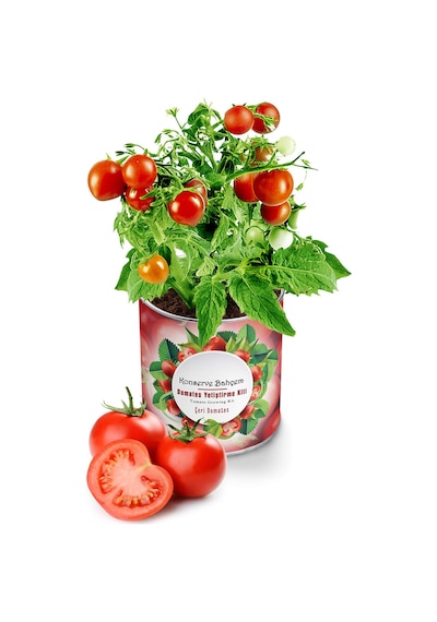 2 Adet Konserve Domates Yetiştirme Kiti Kb002