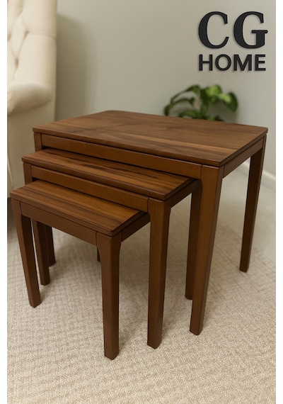 Ant Home Mono Zigon Sehpa Üçlü Lüx %100 Ağaç Lake Boyalı Sehpa Ceviz