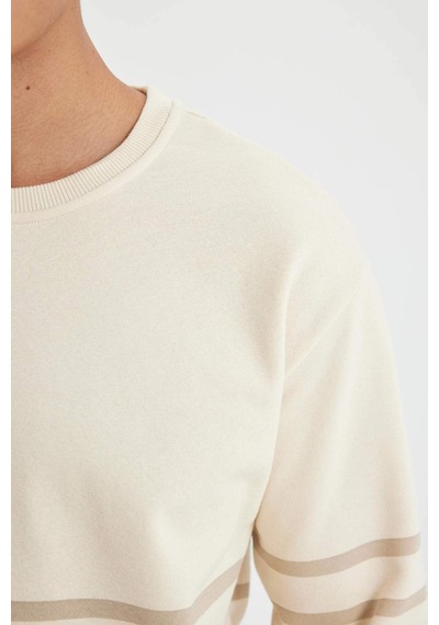 DeFacto Comfort Regular Fit Rahat Kalıp Bisiklet Yaka Çizgili Kalın Sweatshirt D2397AX24AUER42