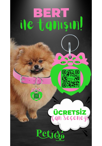 Petjoo 13.Bert Yeşil-Pembe Qr'lı Köpek Künyesi