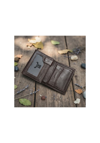 Passtell %100 Hakiki Deri Bozuk Paralı Dikey Erkek Cüzdan Kahverengi Kahverengi
