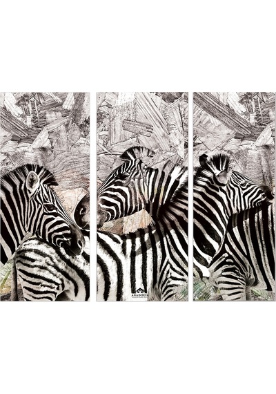 Zebra Desenli Üçlü Ahşap Duvar Panosu