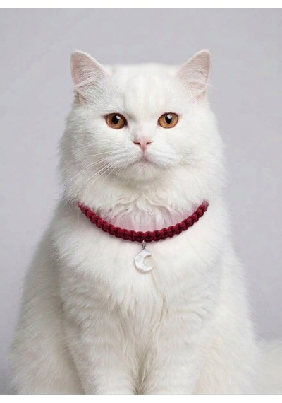 Kırmızı El Örgüsü Makrome Kedi Tasması 27 Cm - Ay Figürlü Charm Şık Kedi Boyun Tasması