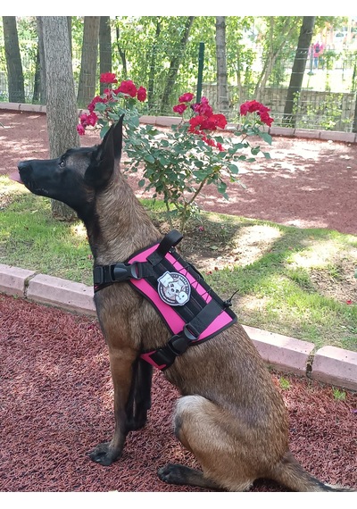 Tactical Göğüs Tasması Taktik Tasma Pembe