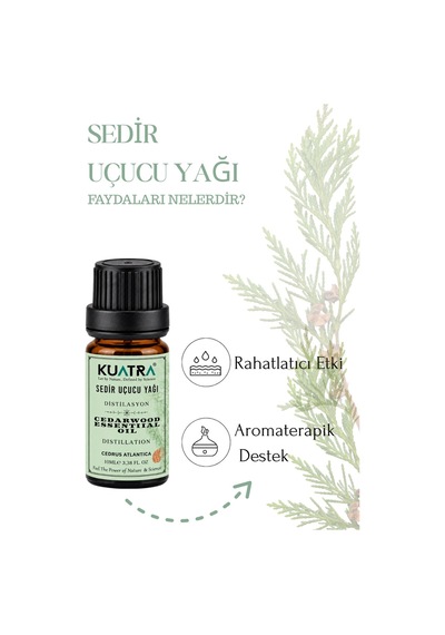 Kuatra Sedir Uçucu Yağı 10 ML