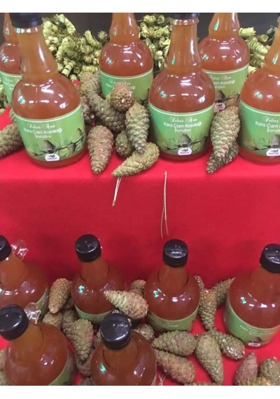Çam Kozalağı Şurubu 500 Ml Katkısız Şekersiz