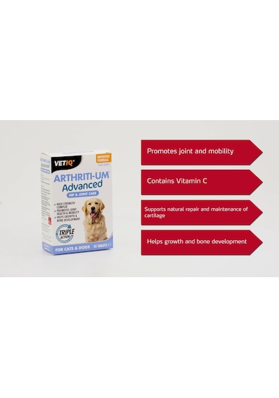 Vetiq Arthriti-Um Hip&joint Care Kedi ve Köpek Eklem Desteği 45tb