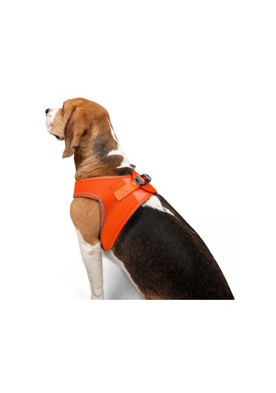 Air-Mesh Küçük ve Orta Irk Kedi Köpek Göğüs Tasması - Yumuşak, Nefes Alabilir, Dayanıklı NEON TURUNCU 3XS