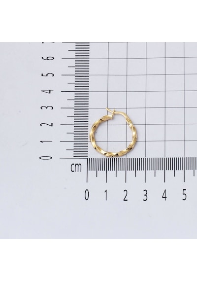 Bilezikci 14 Ayar 2,5 Cm. Çaplı Burgu Küpe Altın Kphas14k30252