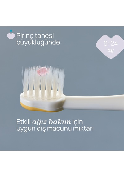 Chicco 2'li Diş Fırçası 6-36 Ay Lılac Mustard 00012082000000 Çok Renkli