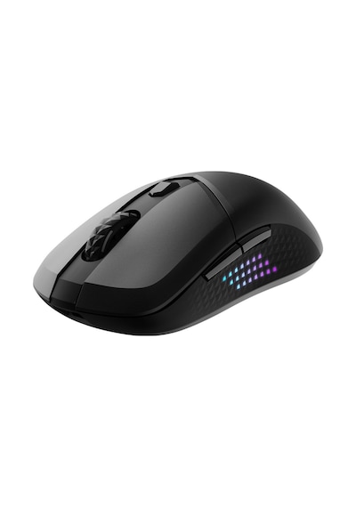 Msı Versa 300 Elite Wireless Gaming Oyuncu Mouse Cmcmmsı0019 Versa 300