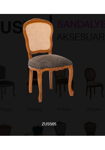 Bengimobilya Zus505 Hasır Sırt Model Sağlam Avangart Aslan Ayak Sandalye Gri D