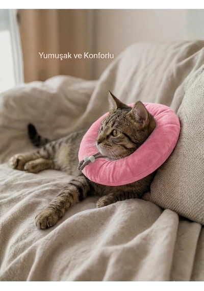 Patiderm Elizabeth Yakalık Yumuşak Ayarlanabilir Kedi Köpek Koruyucu Boyunluk, Pembe, M Beden