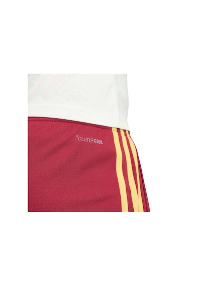 Jn4399-e Adidas İspanya 26 Deplasman Erkek Şort Ve Kapri Bordo Jn4399-e