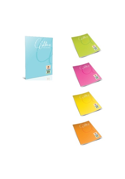 Gıpta Defter Dikişli Mica Plastik Kapak Kareli 40 Yp A5 1710 Çok Renkli