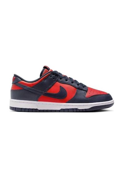 Nike Dunk Low Retro Dv0833-601 Çok Renkli
