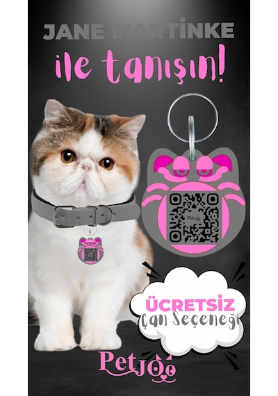 Petjoo 5.Jane Martinke Pembe-Gri Qr'lı Kedi Künyesi