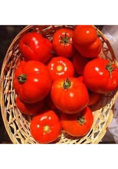 150 Adet Tohum Nadir Çanakkale Domates Tohumu Çanakkale Domatesi