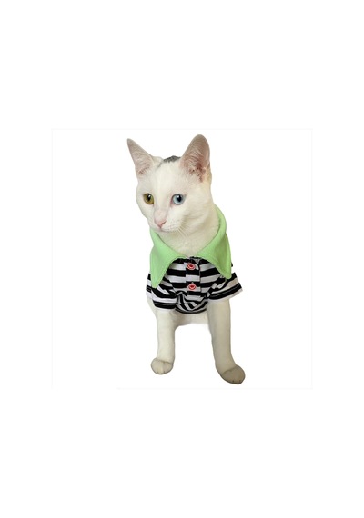 Kemique Grass Hopper Stripe Polo Yaka Kedi Tişört