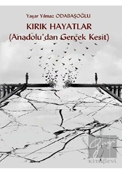 Kırık Hayatlar (Anadolu’dan Gerçek Kesit) Platanus Publishing - Platanus Publishing