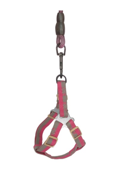 Köpek Göğüs Tasma Seti Dalga Desenli 2 Cm 40-58 Cm Mor-pembe Pembe