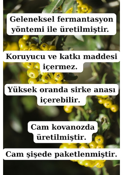Alıç Sirkesi 250 Ml- Doğal Fermantasyon Alıç Sirkesi Geleneksel