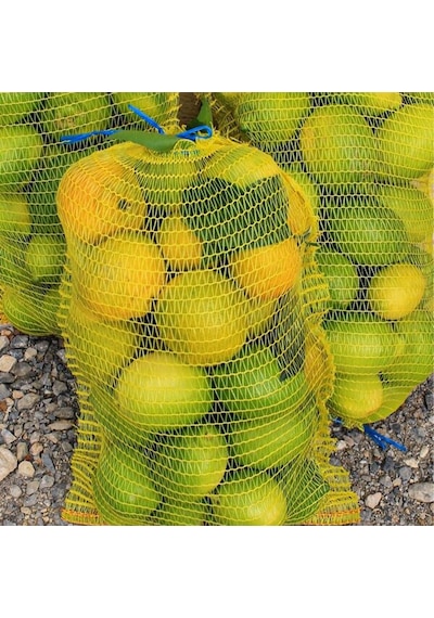30X50 File Çuval Limon Filesi (25 Adet) Limon Ceviz Fındık Çuvalı 30X50 File Çuval Limon Filesi (25 Adet) Limon Ceviz Fındık Çuvalı