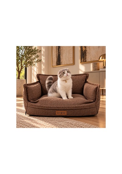 Kedi Ve Köpek Koltuğu Tamamen Fermuarlı Çıkarılabilir İç Minder Boncuk Elyaf Kaydırmaz Taban Kedi Ve Köpek Yatağı Kahverengi 1716727602
