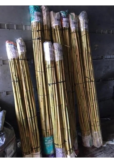 50 Adet 180-190cm Fidan Destek Çubuğu Kamış