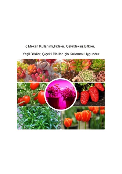 Plentiful Ev Bitkileri İçin Tam Spektrum Grow Led Şerit Usb 2m Pembe