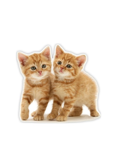 Tekir Kedi Turuncu Yavru Araba Sticker 18Cm Model2