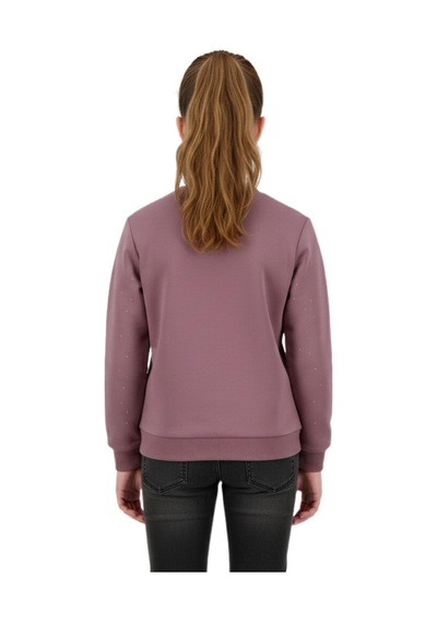 Kız Çocuk Taşlı Sweatshirt Bgl-st05268 Gül Kurusu