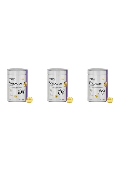 Day2day Collagen All Body Tip 1-2-3 300 Gr 3 Kutu P06851