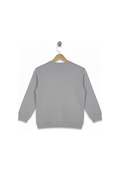 Baglan Erkek Çocuk Önü Baskılı Sweatshirt Bgl-st05235 Gri