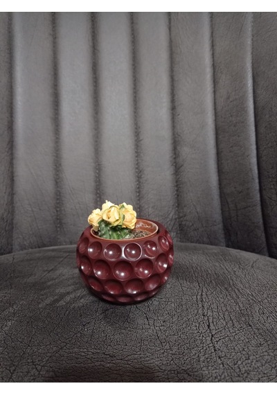 Mini Saksı Ve Kaktüs Seti Bordo