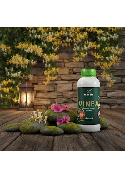 Vinea İkili 250 Ml 2 Adet Dış Mekan Süs Bitkisi Besini - Begonvil Ve Hanımeli İçin Hızlı Büyüme 250 ML