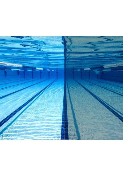 Speedo Biofuse Reflx Mirrored Unisex Yüzücü Gözlüğü 8-002331a273 Siyah