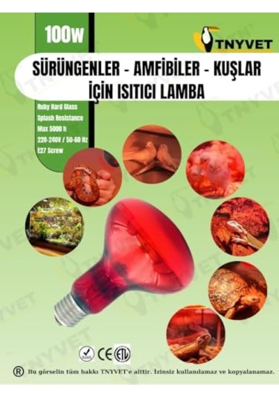 100 Watt Kızılötesi/kırmızı Işık Isıtıcı Lambalar Sürüngenler, Amfibiler Ve Kuşlar Için Enerji Sınıfı A