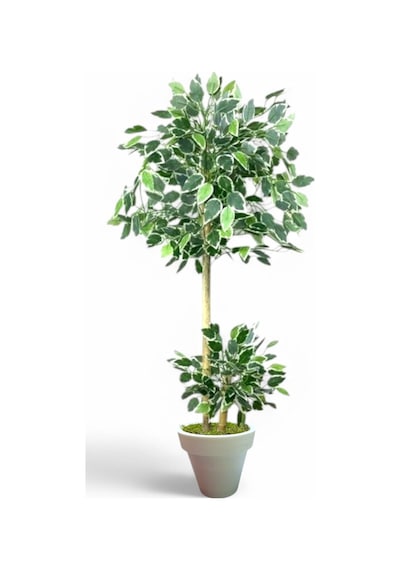 130 Cm Ficus Yapay Ağaç Bambu 2 Gövdeli Beyaz Plastik Saksı Yeşil