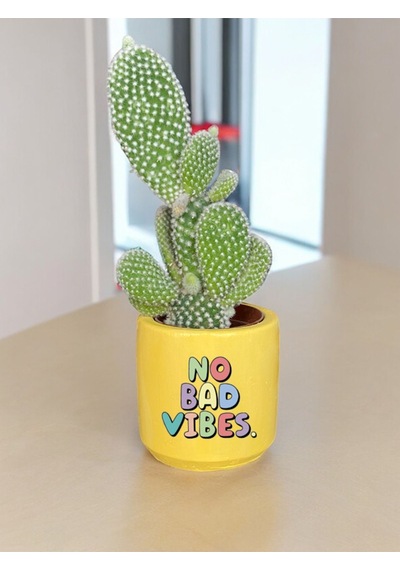 No Bad Vibes Temalı Özel El Yapımı Hediye Saksı Çiçeksiz Model 122