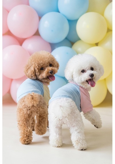 Bubbles Pastel Köpek Tişörtü Cepli Şeker Renkli Yazlık Köpek Kıyafeti Küçük Irklar İçin