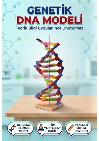 Kendin Yap 3 Boyutlu 72 Parça Dna Model Yapma Eğitici Öğretici Proje Ve Deney Yapım Setleri