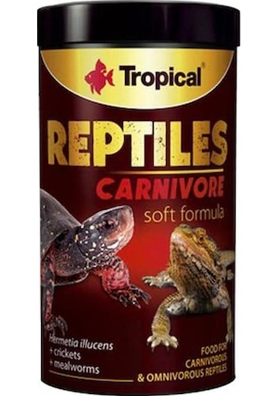 Tropical Reptiles Carnivore Soft Etobur Ve Omnivor Sürüngenler İç
