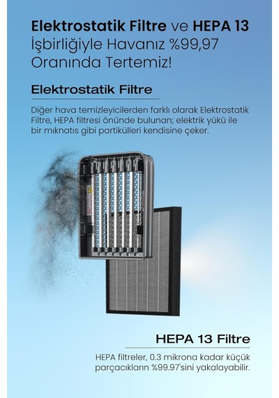 Vigor Plus Hava Temizleyici Çok Renkli