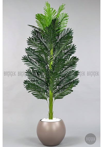 Yapay Areka Ağacı 160-180 Cm F