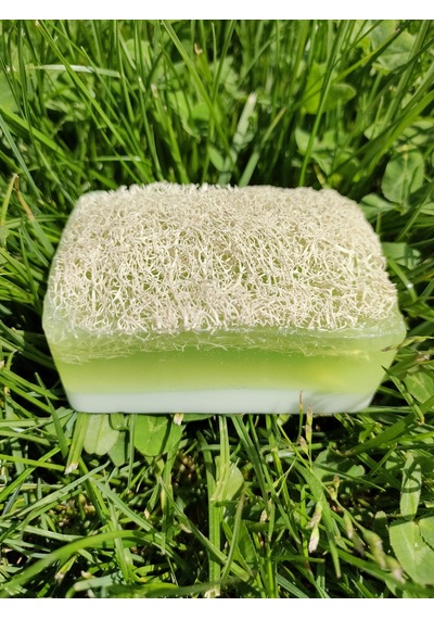 Doğal Kabak Lifli Sütlü Aloe Vera Sabun