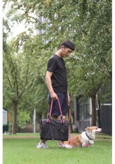 M-Pets 2in1 Remix Omuz Kemerli Kedi Küçük Irk Köpek Taşıma Çantası Pembe Siyah 41 x 28 x 28 CM